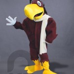 Botargas Aves Águila LA SOCIEDAD