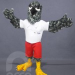 Botargas Aves HALCÓN LA SALLE