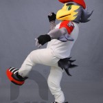 Botargas Aves HALCONES